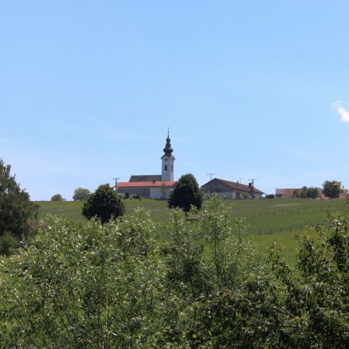 fewo-högl-ausblick